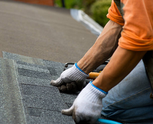 Best Gutter Installation and Roofing  in Crockett, TX